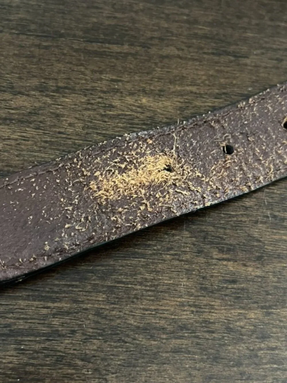 Tommy Bahama Brown Leather Belt Woven Pattern Silver Buckle Men's 40